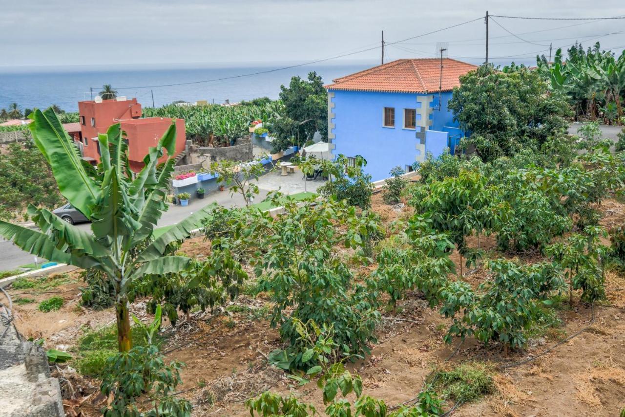 Casa Las Canas Icod De Los Vinos Zewnętrze zdjęcie